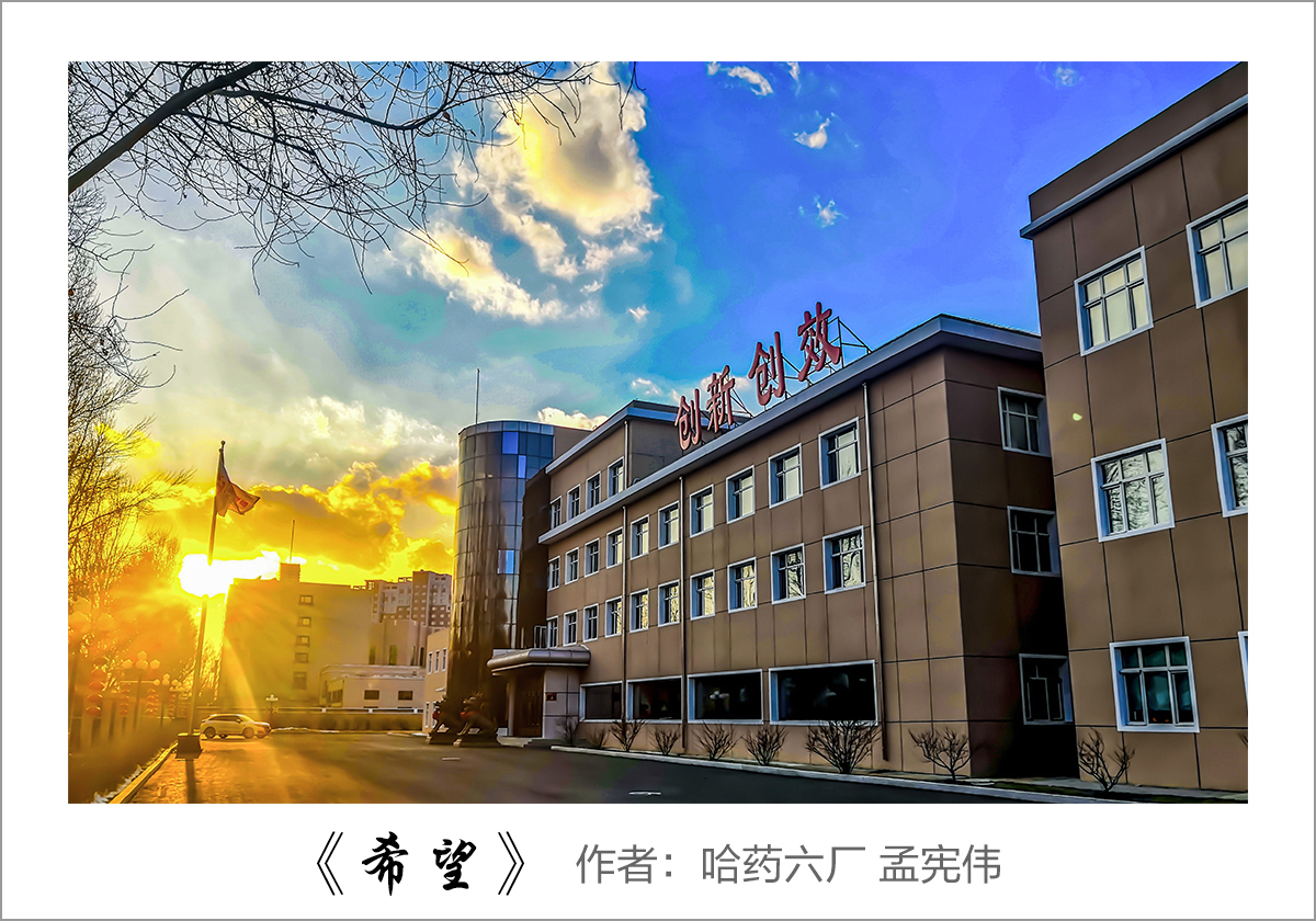 【迎国庆 展风采】我眼中的华纳娱乐——职工摄影大赛作品展示！