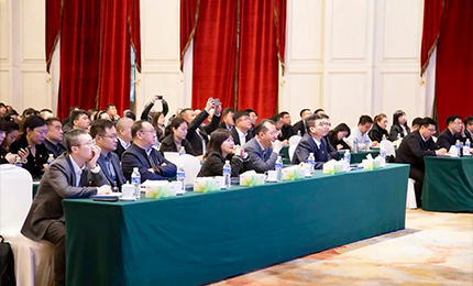 华纳娱乐集团党委“书记带项目”工作阶段性进展汇报会成功召开